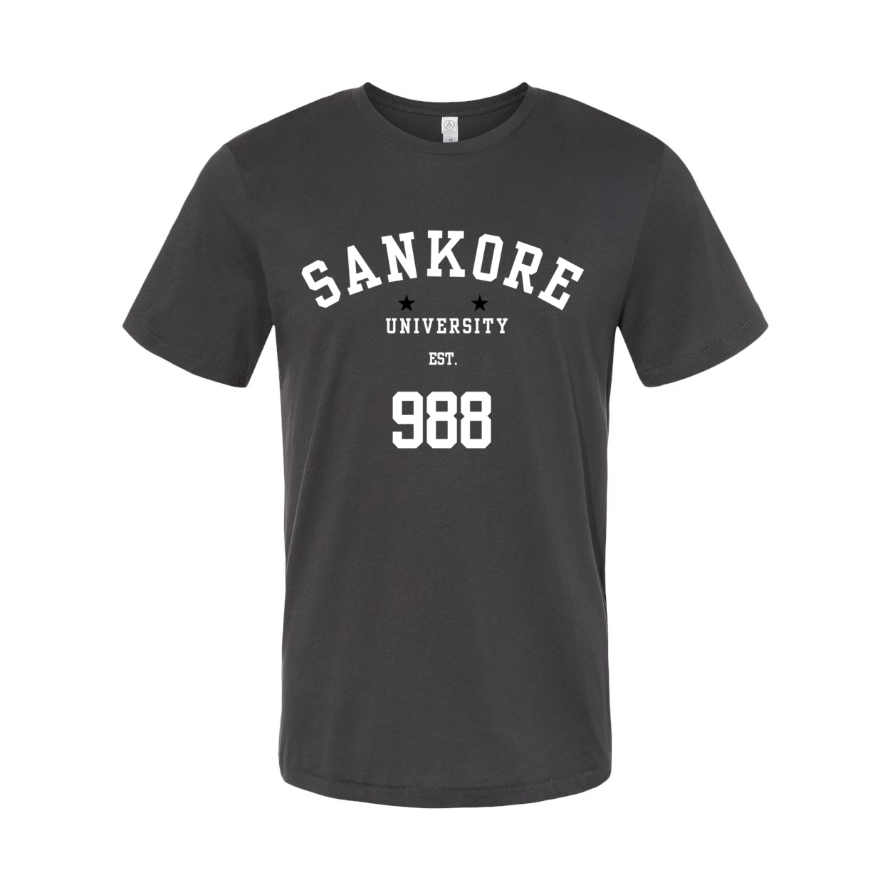 Sankore University Men's Organic Crewneck Tee in Earth Coal - Eco-Friendly, Timeless Design-front